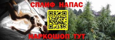гашик Ижевск
